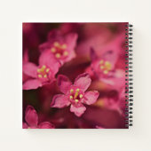 Carnet Belles Fleurs Roses (Dos)