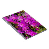 Carnet Belles Iceplants pourpres (Côté Droit)