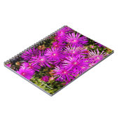 Carnet Belles Iceplants pourpres (Côté gauche)