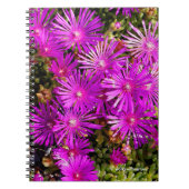 Carnet Belles Iceplants pourpres (Devant)