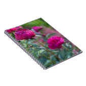 Carnet Belles Peonées de Jardin Rose Profond (Côté Droit)