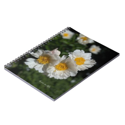 Carnet Belles pivoines blanches (Côté gauche)