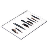 Carnet Belles plumes de Jay Bleu (Côté gauche)