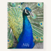 Carnet Belles plumes de paon bleu photo (Devant)