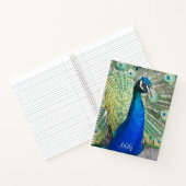 Carnet Belles plumes de paon bleu photo (Intérieur)