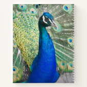 Carnet Belles plumes de paon bleu photo (Dos)