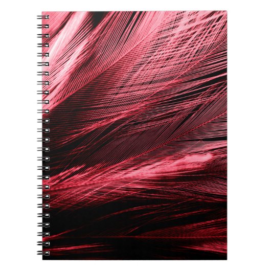 Carnet Belles plumes rouges abstraites sur arrière - plan (Devant)