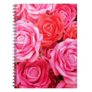 Carnet Belles roses rouges et roses