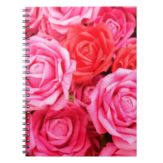 Carnet Belles roses rouges et roses (Devant)