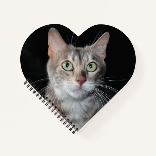 Carnet Bengale Bengale Marbré Rare Photographie Coeur (Devant)