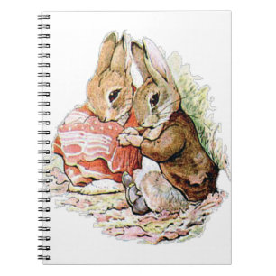 Carnet Benjamin Bunny and Peter Rabbit plan their raid