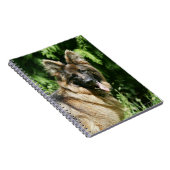 Carnet Berger allemand aux cheveux longs Brown 1 (Côté Droit)