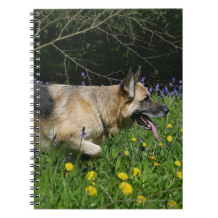 Carnet Berger allemand en fleurs jaunes