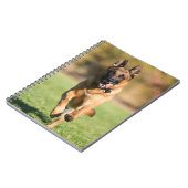 Carnet Berger allemand en marche (Côté gauche)