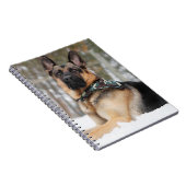 Carnet Berger Allemand En Neige (Côté Droit)