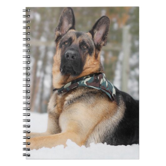 Carnet Berger Allemand En Neige (Devant)