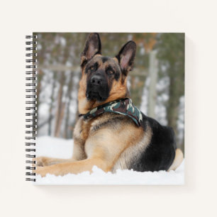 Carnet Berger Allemand En Neige