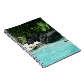 Carnet Berger allemand sautant dans l'eau (Côté Droit)