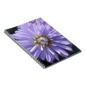 Carnet Berlinette (Côté Droit)