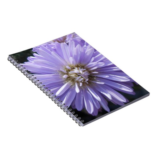 Carnet Berlinette (Côté Droit)