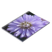 Carnet Berlinette (Côté gauche)