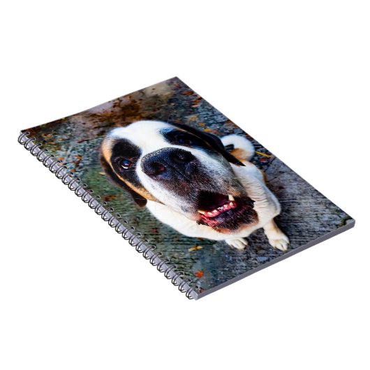 Carnet Bernhadine (Côté Droit)