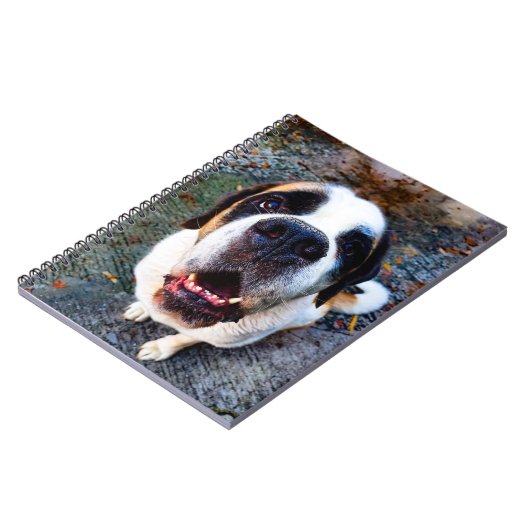 Carnet Bernhadine (Côté gauche)