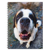 Carnet Bernhadine (Devant)