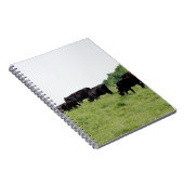 Carnet Bétail Angus noir (Côté Droit)