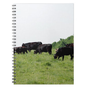 Carnet Bétail Angus noir