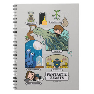 Carnet Bêtes De Cartoon Dans Les Habitats