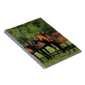 Carnet Bêtes d'un an de pur sang (Côté Droit)