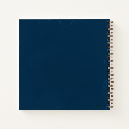 Carnet Bêtes fantastiques Thunderbird (Dos)