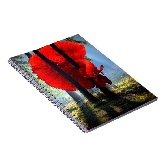 Carnet Betta fish (Côté Droit)