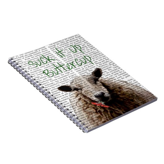 Carnet Beurre (Côté Droit)