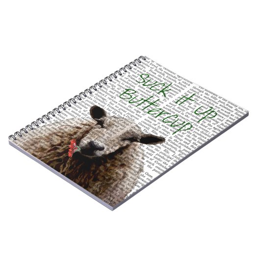 Carnet Beurre (Côté gauche)