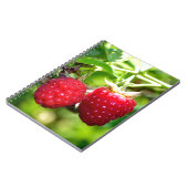 Carnet Beurre mûre photo Framboises framboises (Côté gauche)
