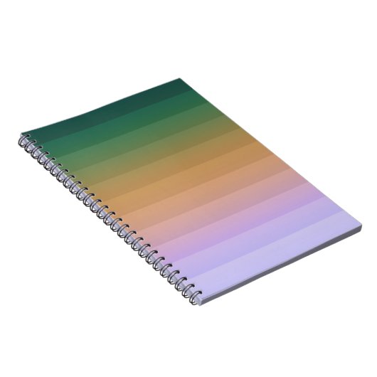 Carnet Bi vert pâle pâle vert pâle gris foncé (Côté Droit)