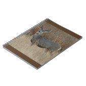 Carnet Biche de cerf mulet D14 (Côté gauche)