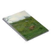Carnet Biche et faon de cerf mulet D5 (Côté Droit)