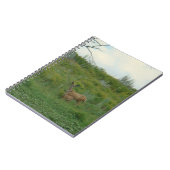 Carnet Biche et faon de cerf mulet D5 (Côté gauche)