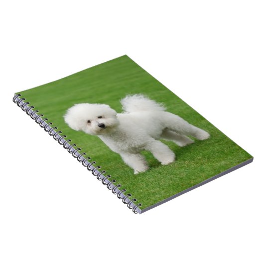 Carnet Bichon Frise (Côté Droit)