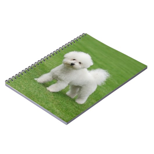 Carnet Bichon Frise (Côté gauche)