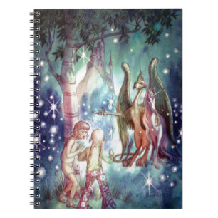 Carnet Bienvenue à Fairyland