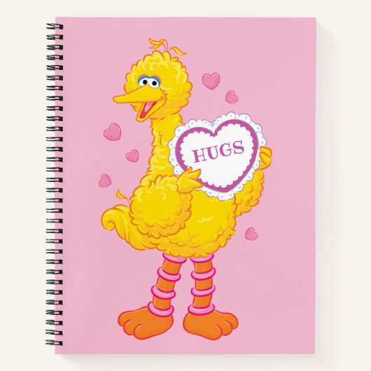 Carnet Big Bird Valentine (Devant)