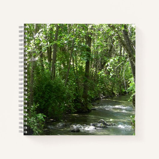 Carnet Big Creek en été..... (Devant)