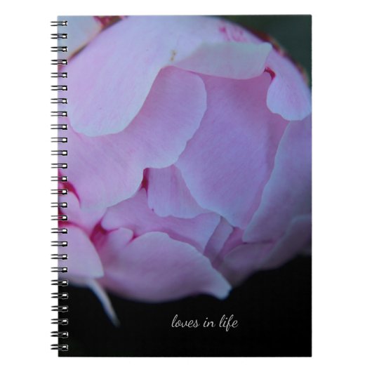 Carnet Big Pink Peony Bud (Devant)