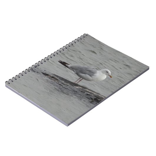 Carnet Big seagull (Côté gauche)