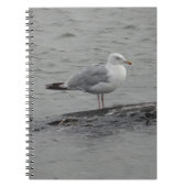 Carnet Big seagull (Devant)