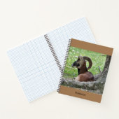 Carnet Bighorn Ram (Intérieur)
